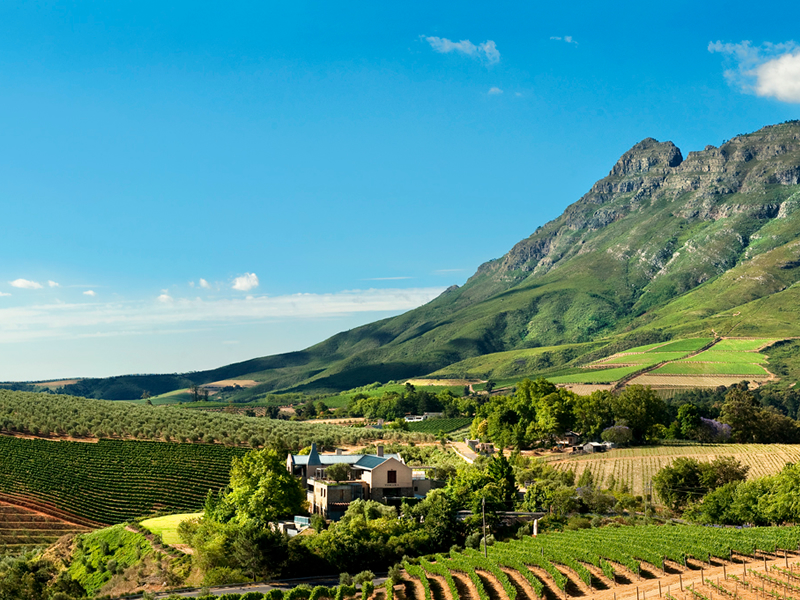 Экскурсия в винные долины