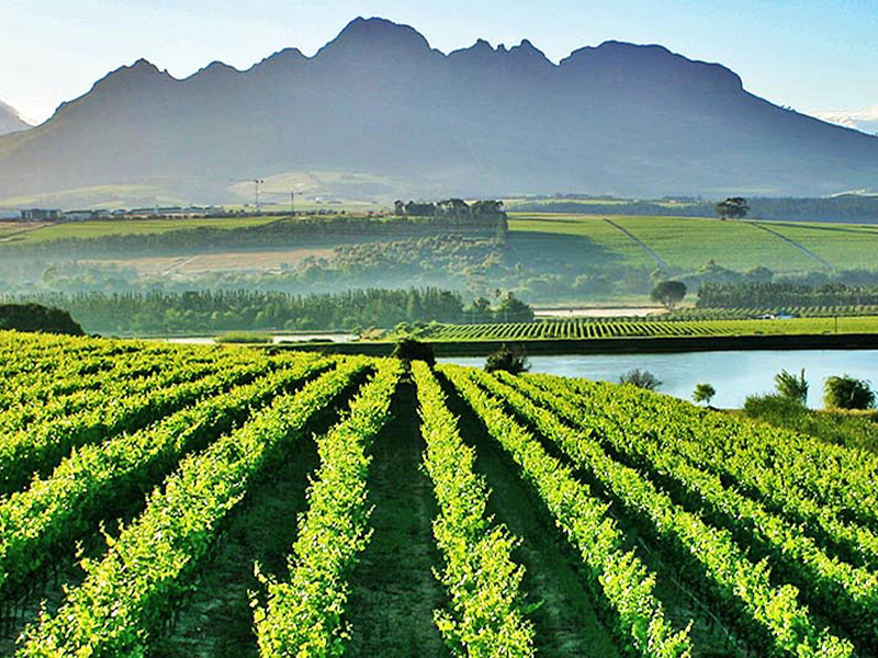 Экскурсия в винные долины - экспресс