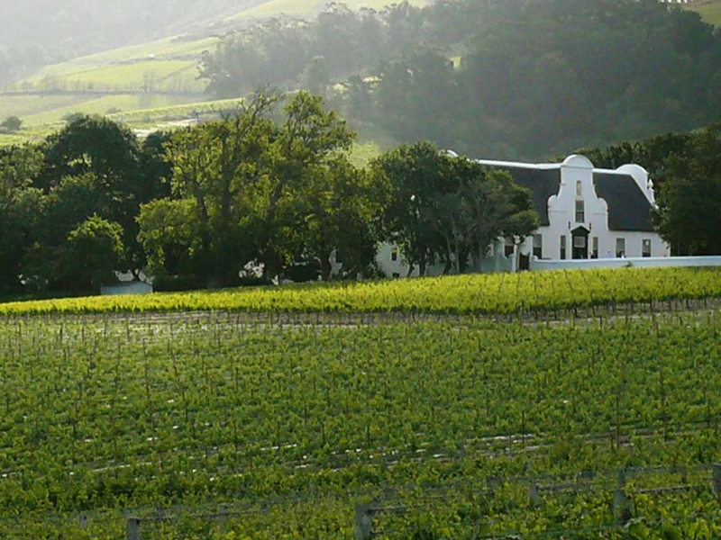 Экскурсия на винную ферму Грут Констанция