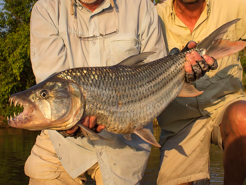 Экскурсия - Рыбалка на реке Замбези